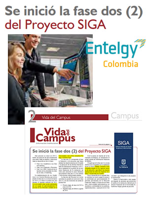 Entelgy Colombia - Fase II SIGA