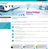 Nueva Web Corporativa del Grupo Entelgy - Sobre Entelgy