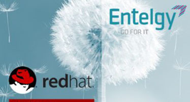 Entelgy logra el reconocimiento Advanced Business Partner de Red Hat