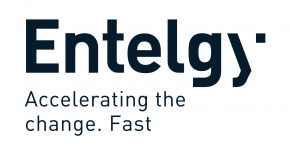 Entelgy Accelerating The Change. Fast