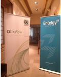 Entelgy - QlikView