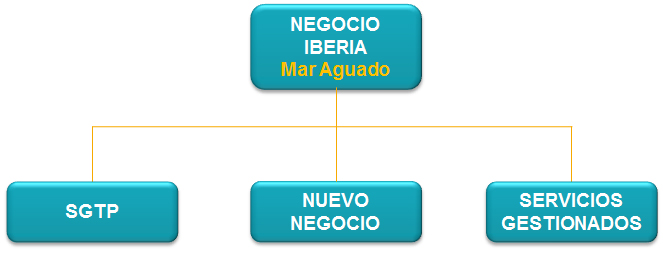 Organigrama Negocio IBERIA Entelgy