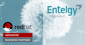 Entelgy logra el reconocimiento Advanced Business Partner de Red Hat