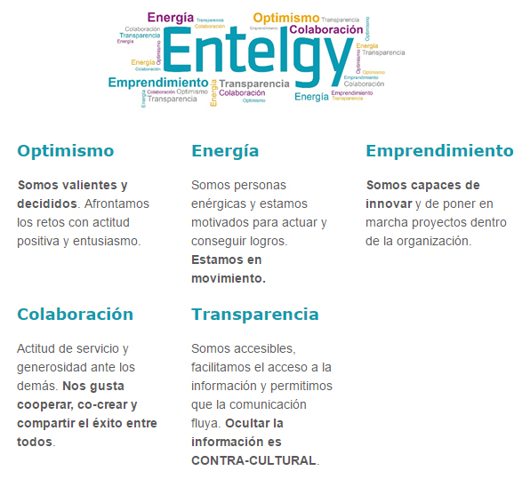 Transformando los Valores Entelgy