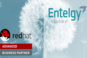 Entelgy logra el reconocimiento Advanced Business Partner de Red Hat