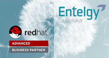 Entelgy logra el reconocimiento Advanced Business Partner de Red Hat