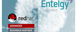 Entelgy logra el reconocimiento Advanced Business Partner de Red Hat