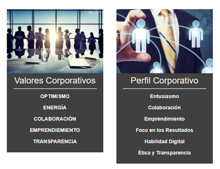 Valores y Perfil Corporativos Entelgy