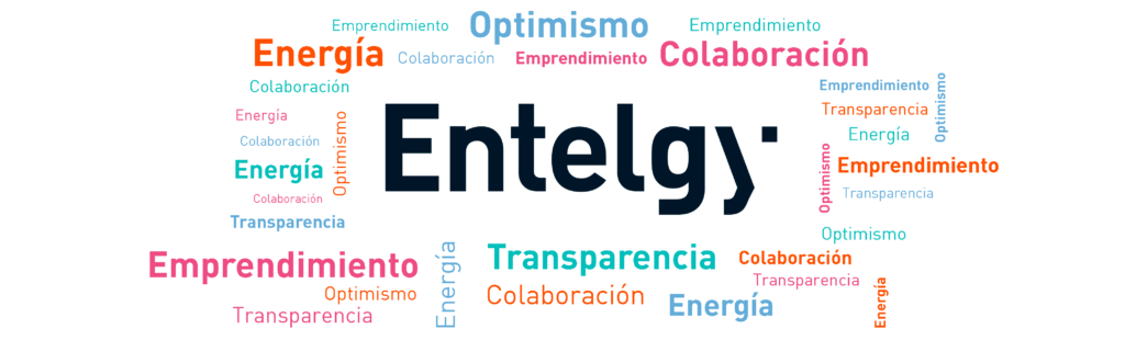 Valores Entelgy