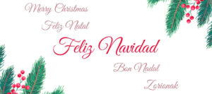 Feliz Navidad Entelgy 2024