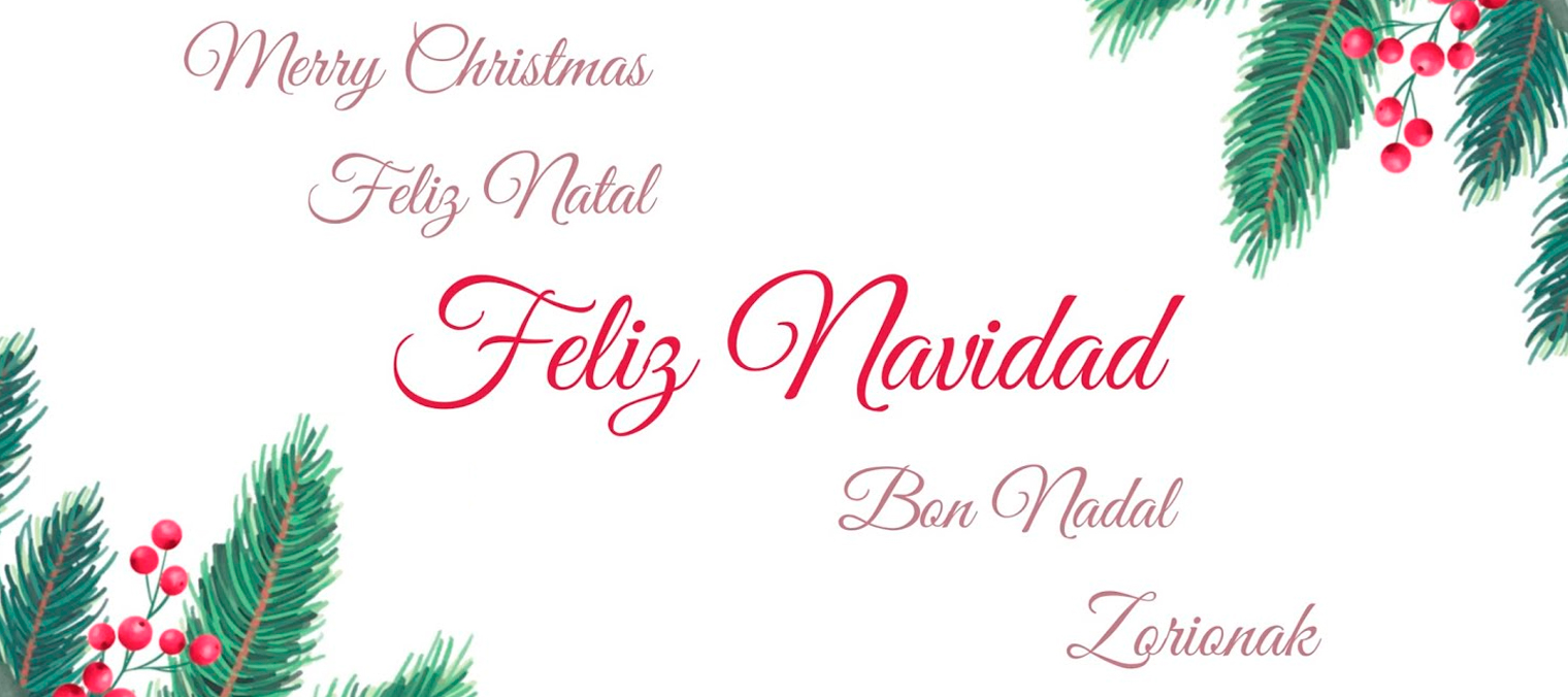 Feliz Navidad Entelgy 2024