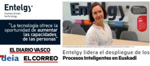 Entelgy consultora vasca