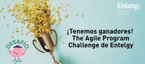 the agile program