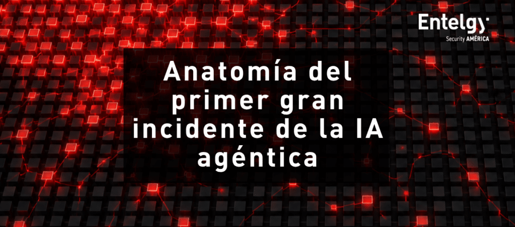 anatomia
