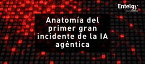 anatomia